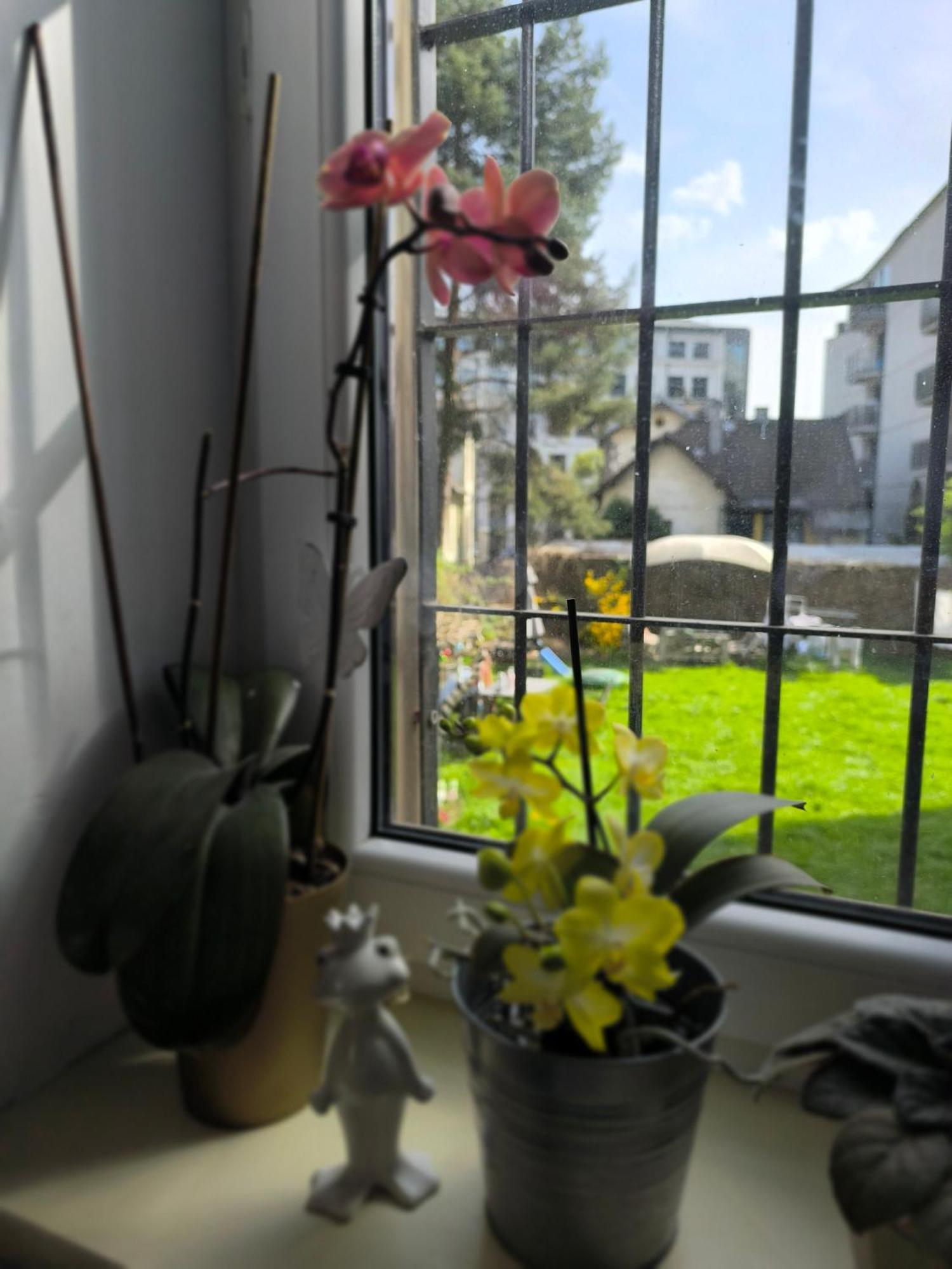 Willa Retro Hostel Krakow Bagian luar foto